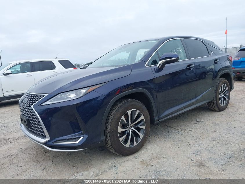 2022 Lexus Rx 350 VIN: 2T2AZMDA8NC351316 Lot: 12001446