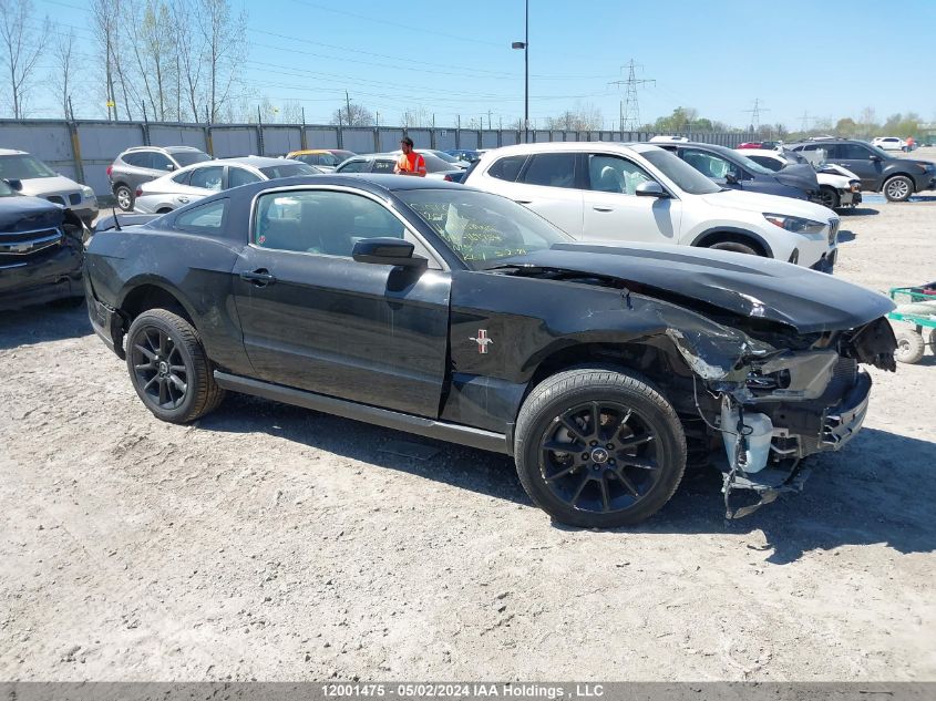 2011 Ford Mustang VIN: 1ZVBP8AM3B5169954 Lot: 12001475