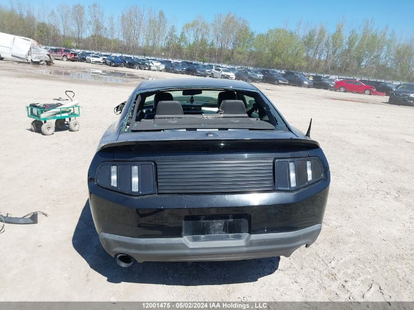 2011 Ford Mustang VIN: 1ZVBP8AM3B5169954 Lot: 12001475