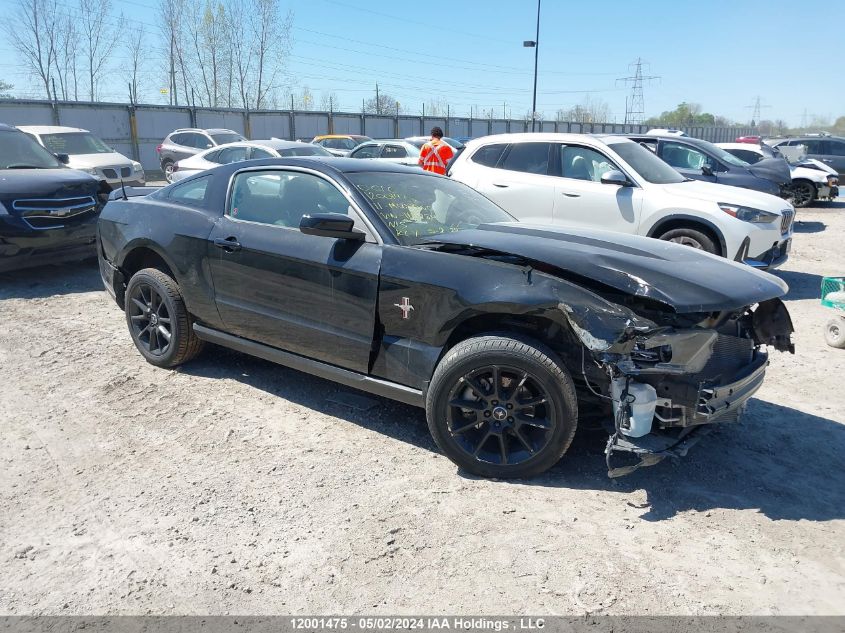 2011 Ford Mustang VIN: 1ZVBP8AM3B5169954 Lot: 12001475