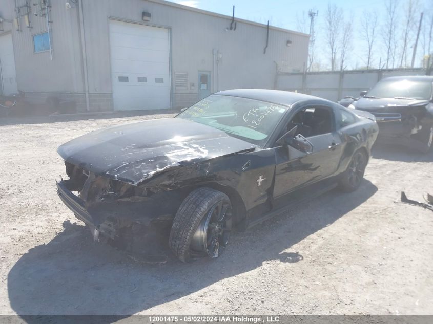 2011 Ford Mustang VIN: 1ZVBP8AM3B5169954 Lot: 12001475