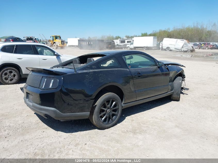 2011 Ford Mustang VIN: 1ZVBP8AM3B5169954 Lot: 12001475