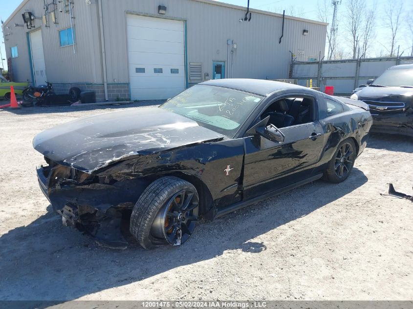 2011 Ford Mustang VIN: 1ZVBP8AM3B5169954 Lot: 12001475