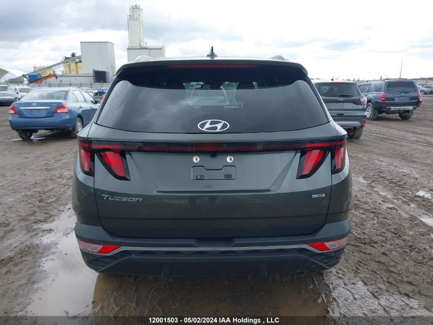 2023 Hyundai Tucson Sel VIN: KM8JBCAE4PU222890 Lot: 12001503