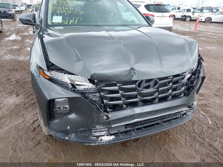 2023 Hyundai Tucson Sel VIN: KM8JBCAE4PU222890 Lot: 12001503