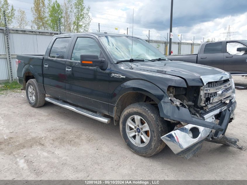 2014 Ford F150 Supercrew VIN: 1FTFW1EFXEFC36560 Lot: 12001625