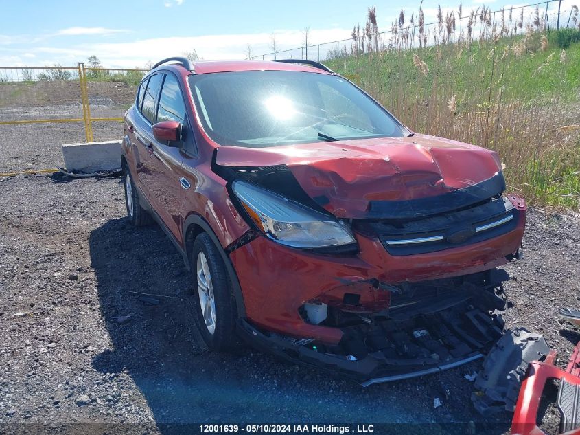 2014 Ford Escape Se VIN: 1FMCU0GX6EUE30356 Lot: 12001639