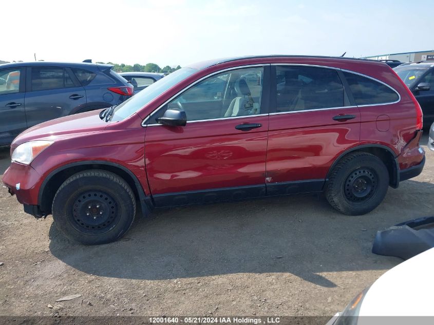 2007 Honda Cr-V Ex VIN: 5J6RE48567L808145 Lot: 12001640