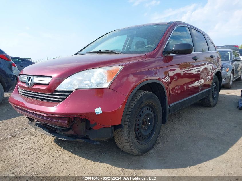 2007 Honda Cr-V Ex VIN: 5J6RE48567L808145 Lot: 12001640