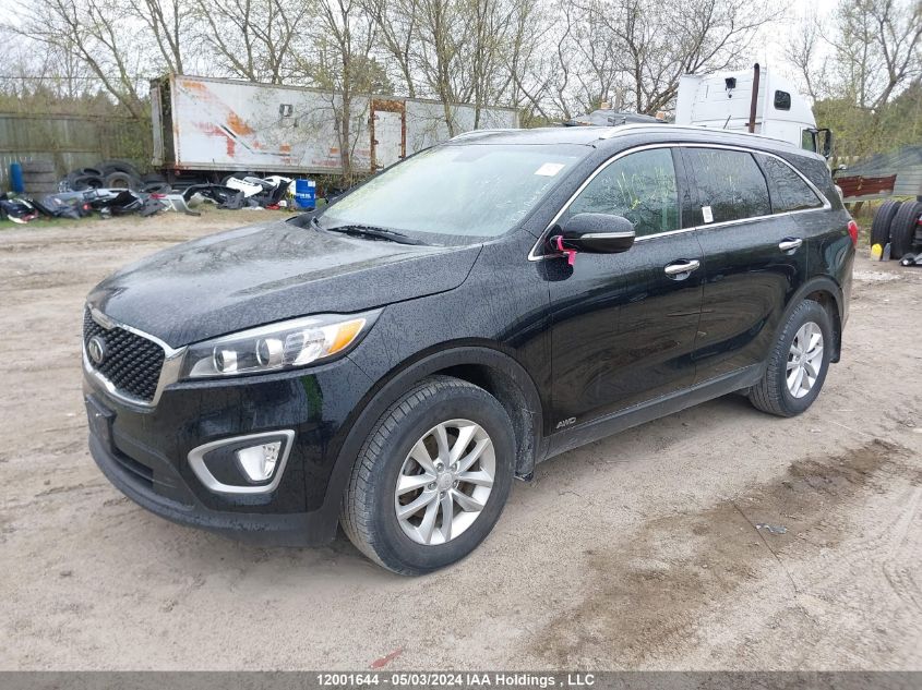 2018 Kia Sorento VIN: 5XYPGDA36JG344826 Lot: 12001644