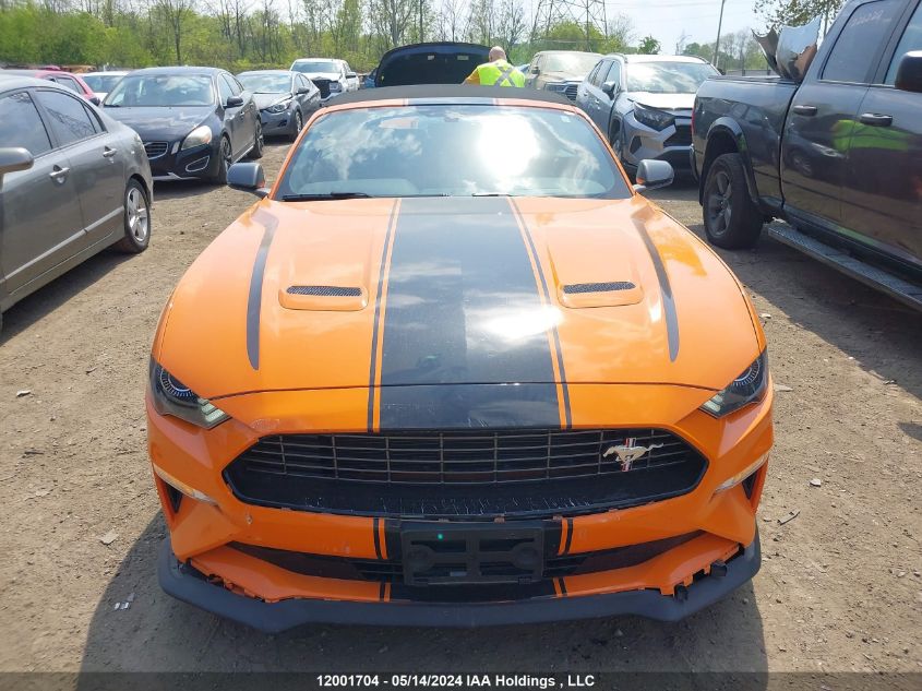 2020 Ford Mustang VIN: 1FATP8UD5L5115937 Lot: 12001704