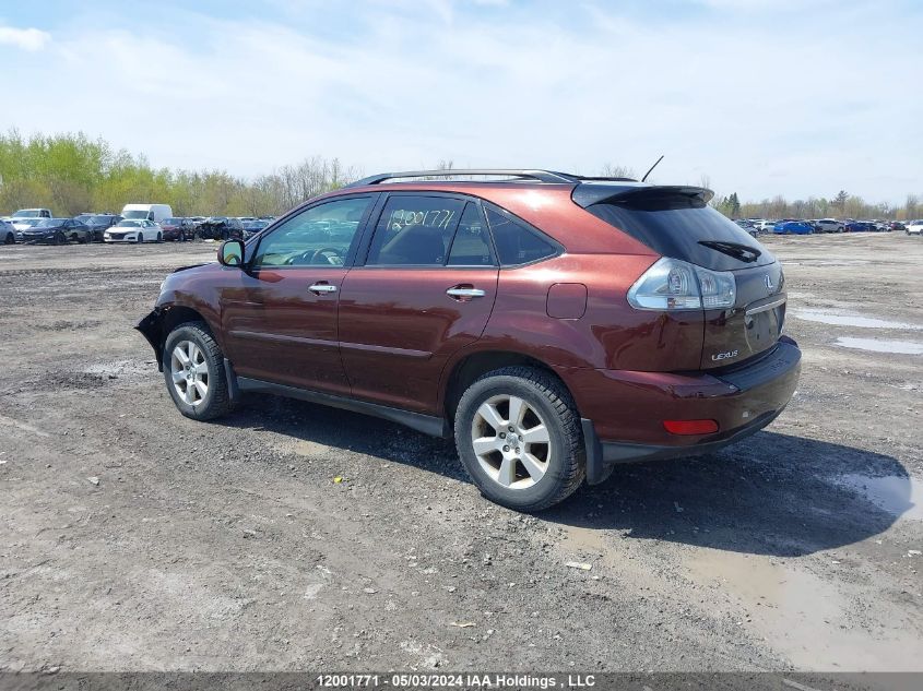 2009 Lexus Rx 350 VIN: JTJHK31U292857449 Lot: 12001771