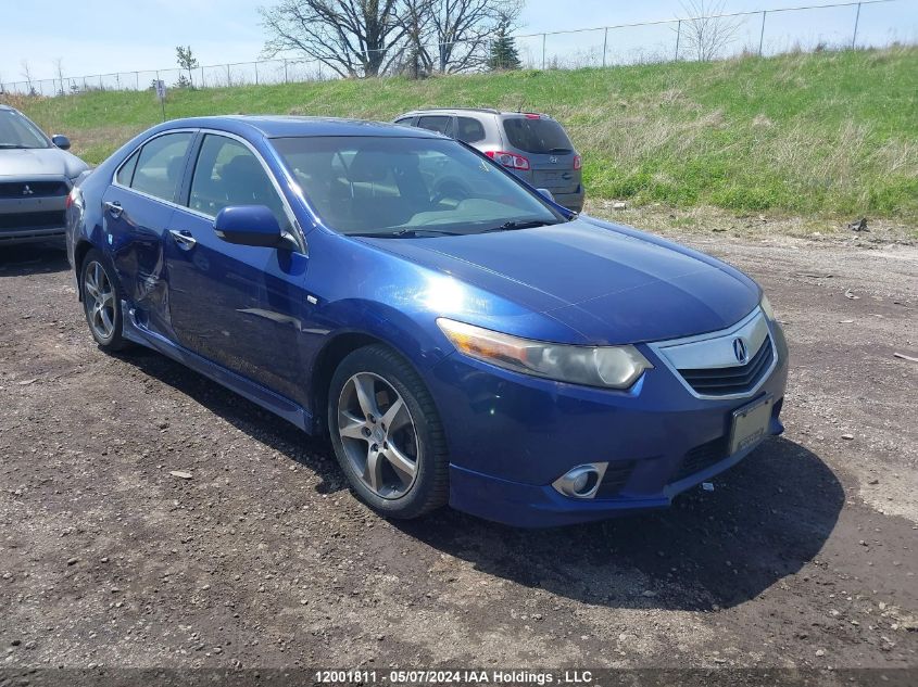 2013 Acura Tsx VIN: JH4CU2E87DC800406 Lot: 12001811