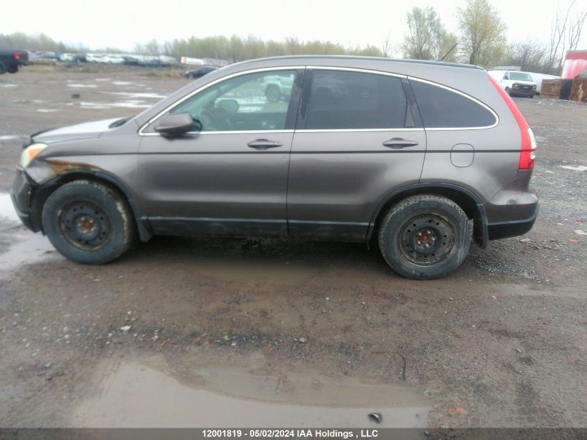 2009 Honda Cr-V Exl VIN: 5J6RE48769L809865 Lot: 12001819