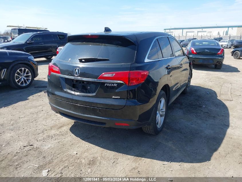 2014 Acura Rdx Technology VIN: 5J8TB4H55EL801741 Lot: 12001841