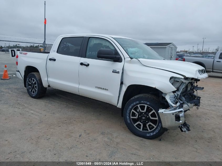 2021 Toyota Tundra Crewmax Sr5/Crewmax Trd Pro VIN: 5TFDY5F16MX997025 Lot: 12001849