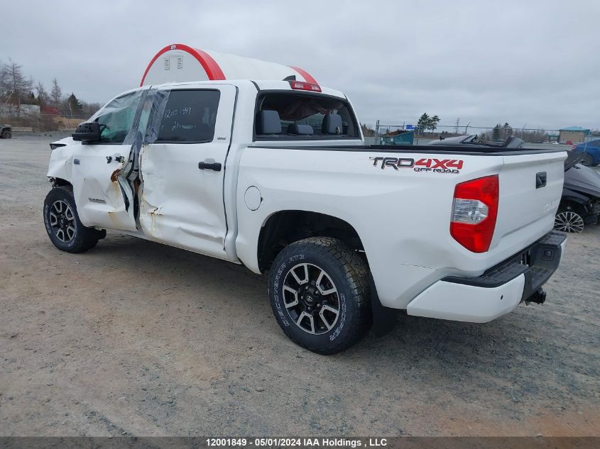 2021 Toyota Tundra Crewmax Sr5/Crewmax Trd Pro VIN: 5TFDY5F16MX997025 Lot: 12001849