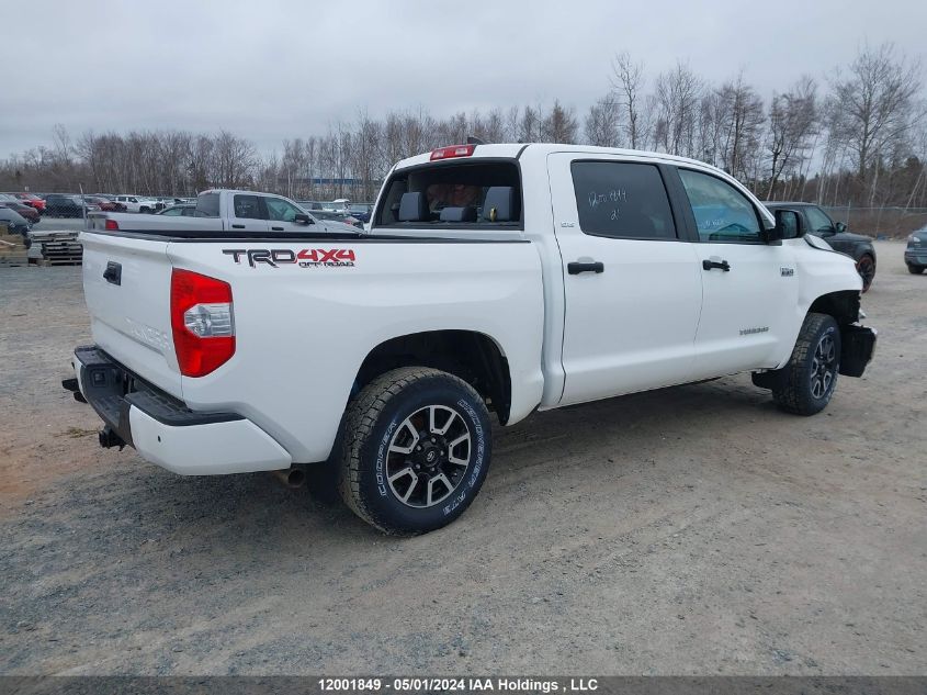 2021 Toyota Tundra Crewmax Sr5/Crewmax Trd Pro VIN: 5TFDY5F16MX997025 Lot: 12001849