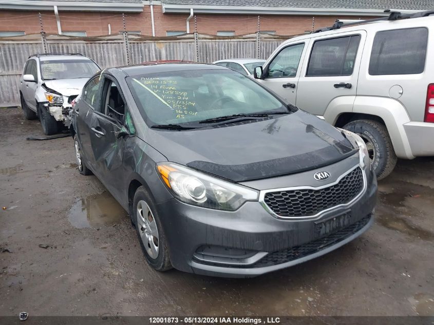 2014 Kia Forte Lx VIN: KNAFK4A6XE5128848 Lot: 12001873