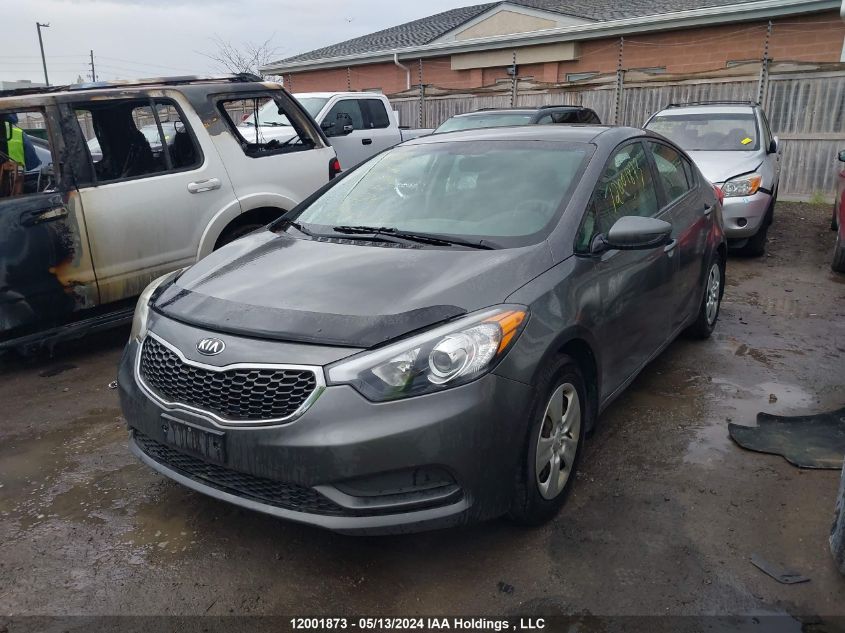 2014 Kia Forte Lx VIN: KNAFK4A6XE5128848 Lot: 12001873