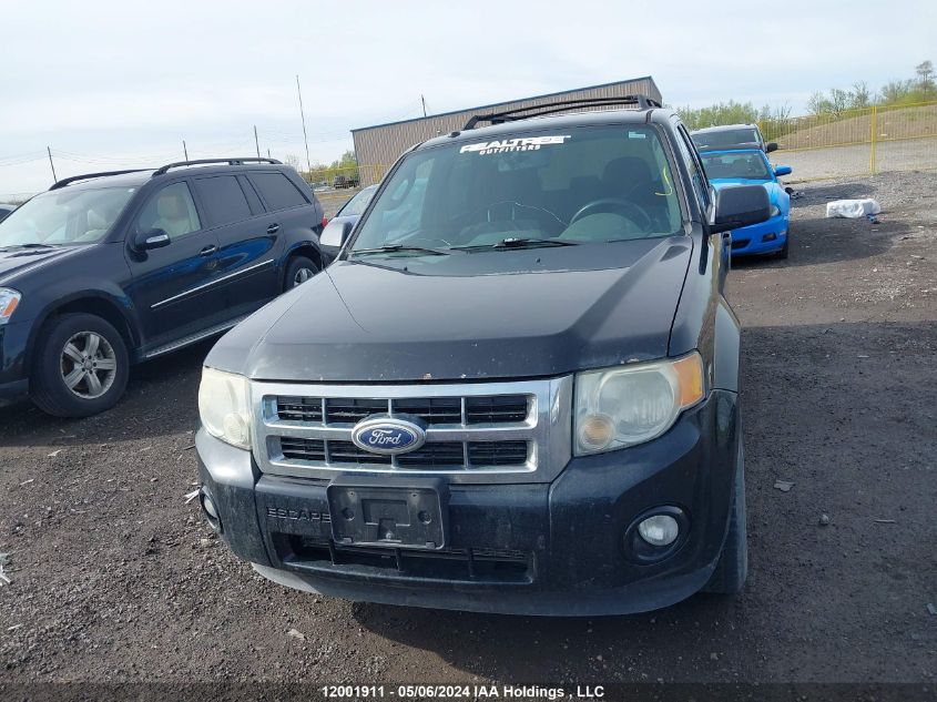 2010 Ford Escape Xlt VIN: 1FMCU0DG6AKB86539 Lot: 12001911