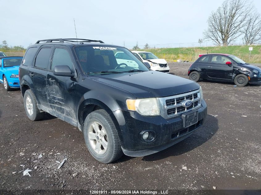 2010 Ford Escape Xlt VIN: 1FMCU0DG6AKB86539 Lot: 12001911