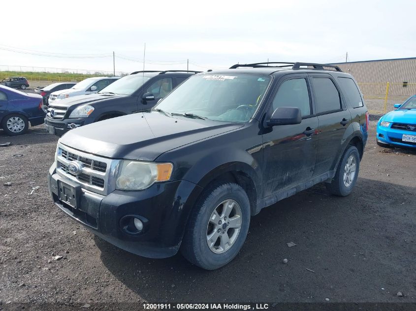 2010 Ford Escape Xlt VIN: 1FMCU0DG6AKB86539 Lot: 12001911