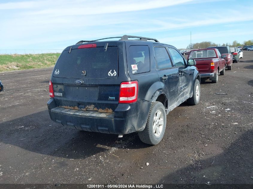 2010 Ford Escape Xlt VIN: 1FMCU0DG6AKB86539 Lot: 12001911