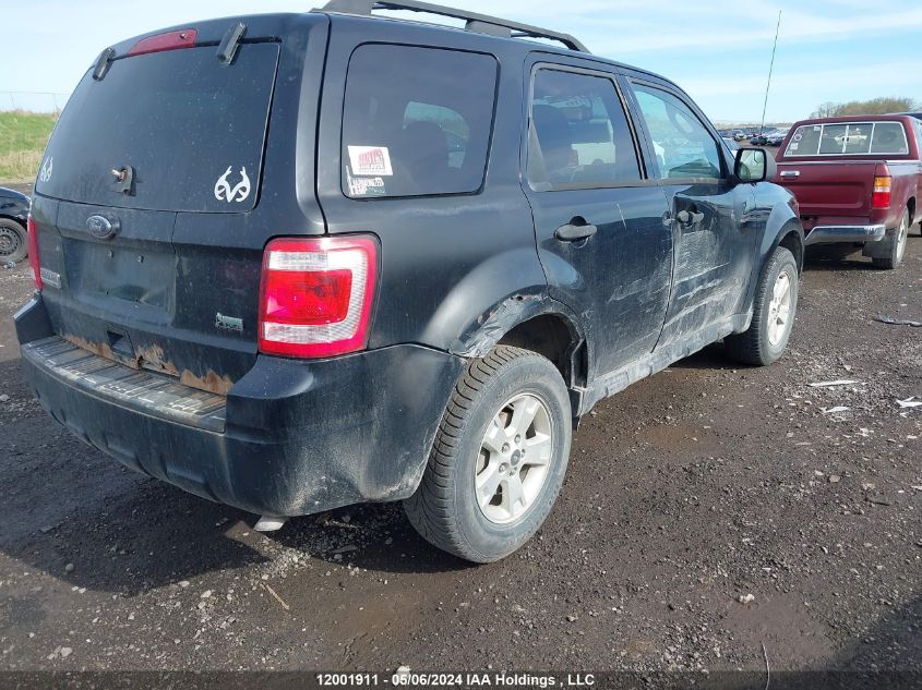 2010 Ford Escape Xlt VIN: 1FMCU0DG6AKB86539 Lot: 12001911