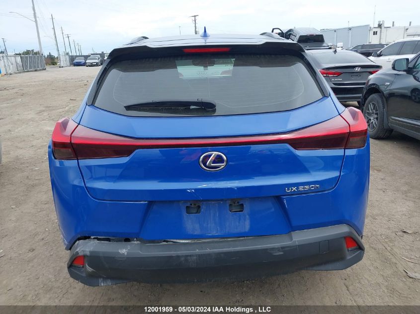 2021 Lexus Ux 250H VIN: JTHP9JBH9M2046691 Lot: 12001959