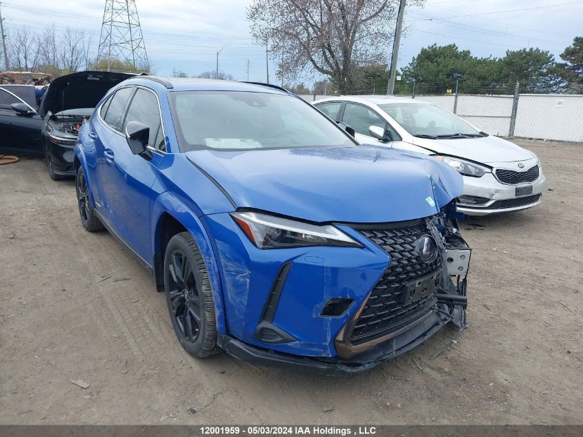 2021 Lexus Ux 250H VIN: JTHP9JBH9M2046691 Lot: 12001959