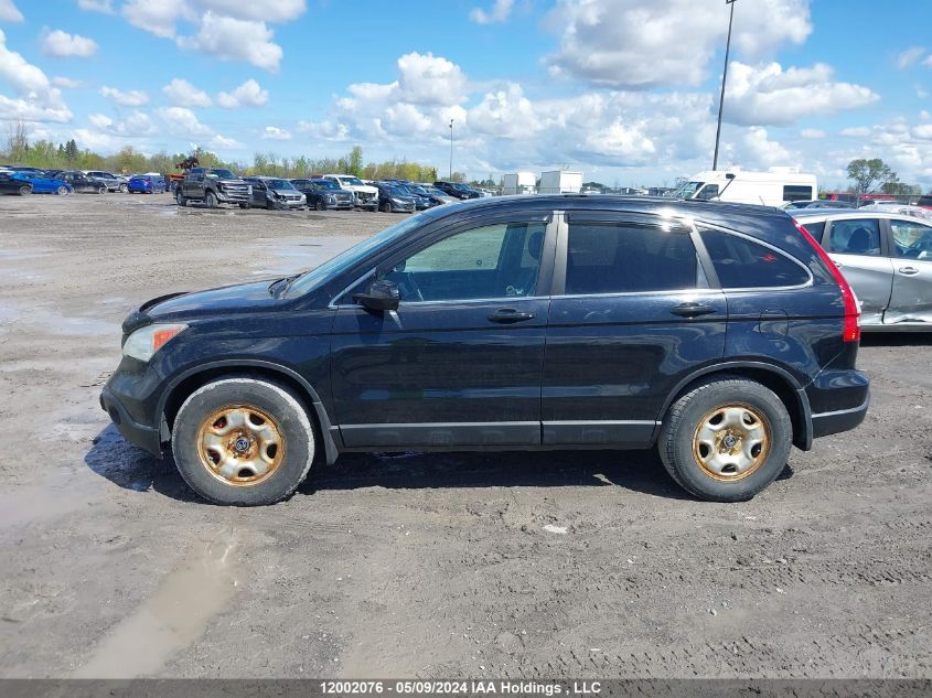 2007 Honda Cr-V VIN: 5J6RE48777L804509 Lot: 12002076