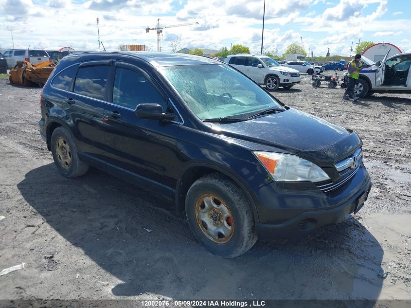 2007 Honda Cr-V VIN: 5J6RE48777L804509 Lot: 12002076