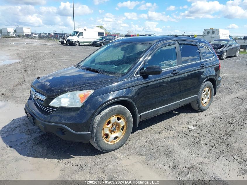 2007 Honda Cr-V VIN: 5J6RE48777L804509 Lot: 12002076