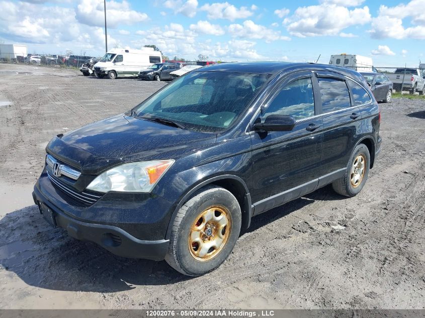 2007 Honda Cr-V VIN: 5J6RE48777L804509 Lot: 12002076