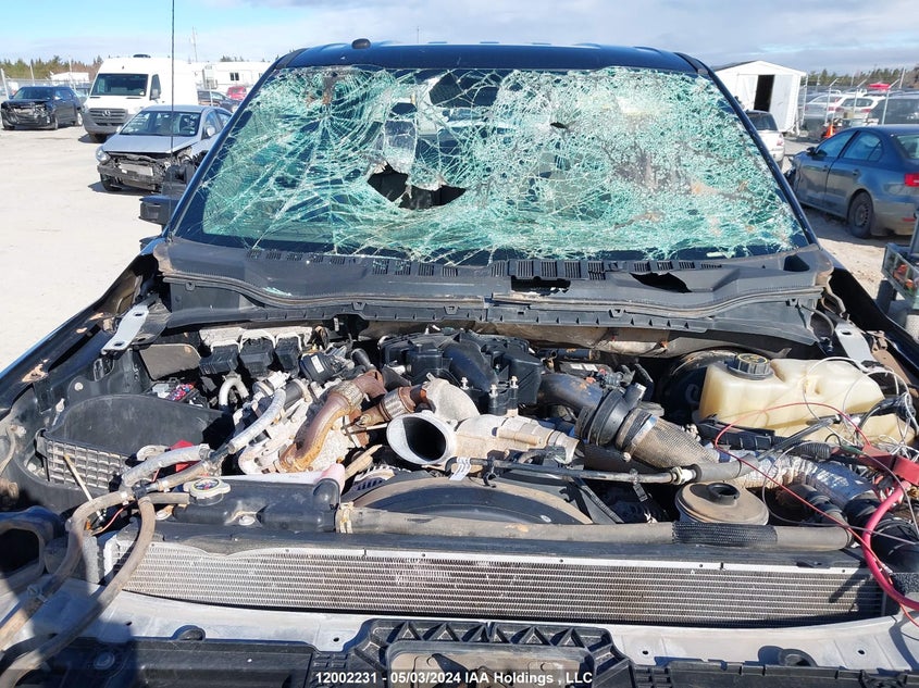 2017 Ford F-250 Xlt VIN: 1FT7W2BT8HEE52048 Lot: 12002231