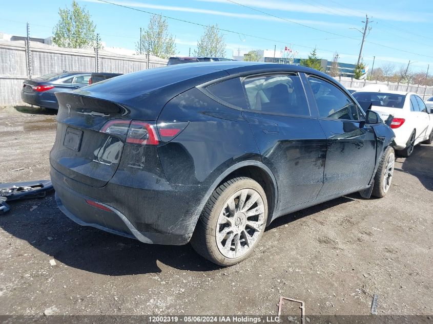 2022 Tesla Model Y VIN: 7SAYGDEE5NF504498 Lot: 12002319