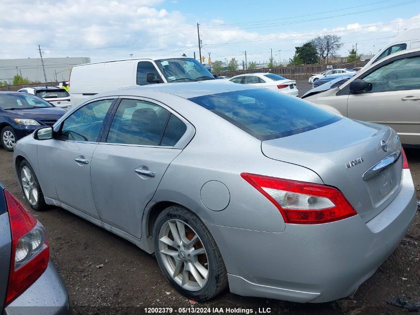 2011 Nissan Maxima S/Sv VIN: 1N4AA5AP2BC801837 Lot: 12002379