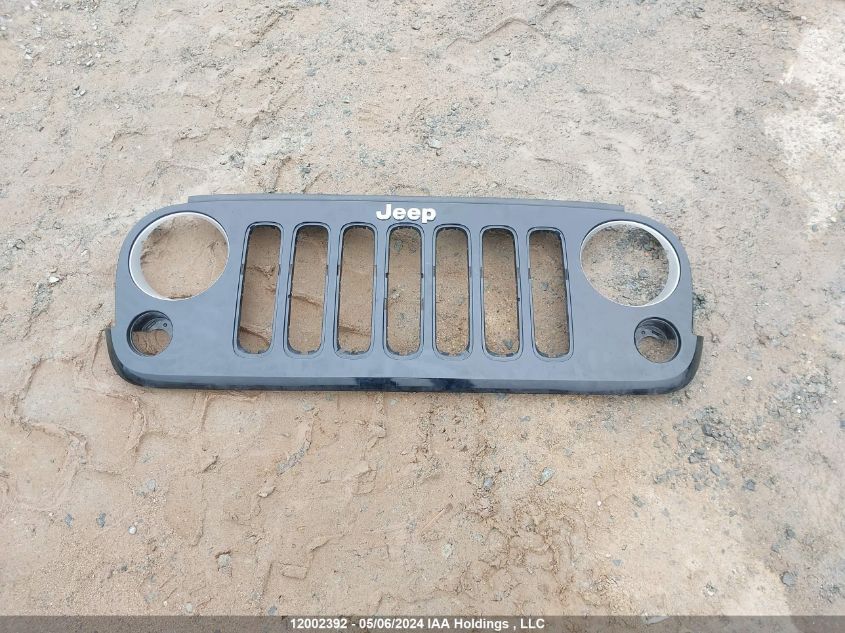 2016 Jeep Wrangler Unlimited VIN: 1C4HJWEG1GL300969 Lot: 12002392