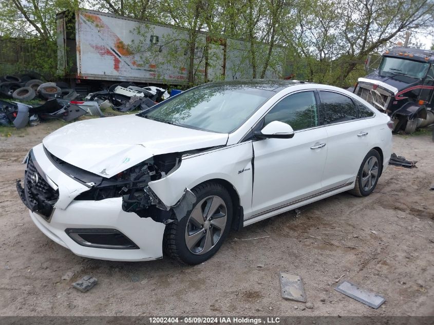 2016 Hyundai Sonata Hybrid Limited VIN: KMHE34L10GA010102 Lot: 12002404