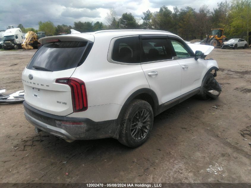 2021 Kia Telluride VIN: 5XYP5DHC9MG155376 Lot: 12002470