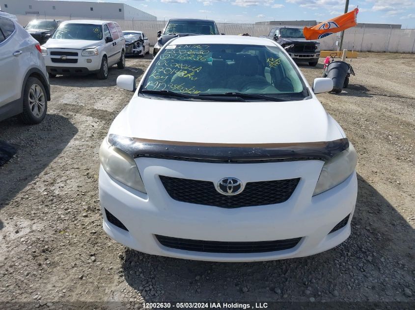 2010 Toyota Corolla VIN: 2T1BU4EE0AC216236 Lot: 12002630