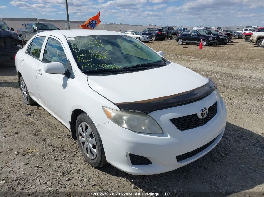 2010 Toyota Corolla VIN: 2T1BU4EE0AC216236 Lot: 12002630