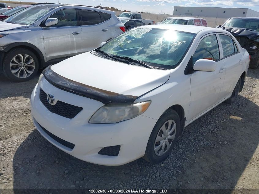 2010 Toyota Corolla VIN: 2T1BU4EE0AC216236 Lot: 12002630