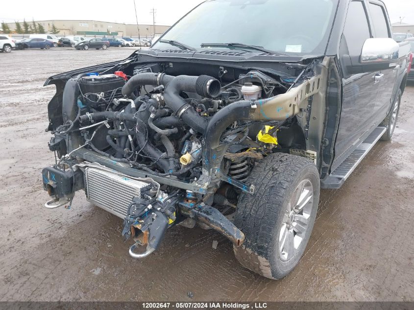 2020 Ford F150 Supercrew VIN: 1FTEW1E43LKD54366 Lot: 12002647