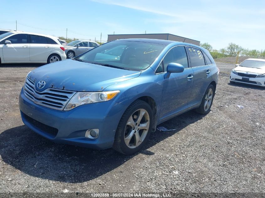 2010 Toyota Venza VIN: 4T3BK3BB7AU033142 Lot: 12002859