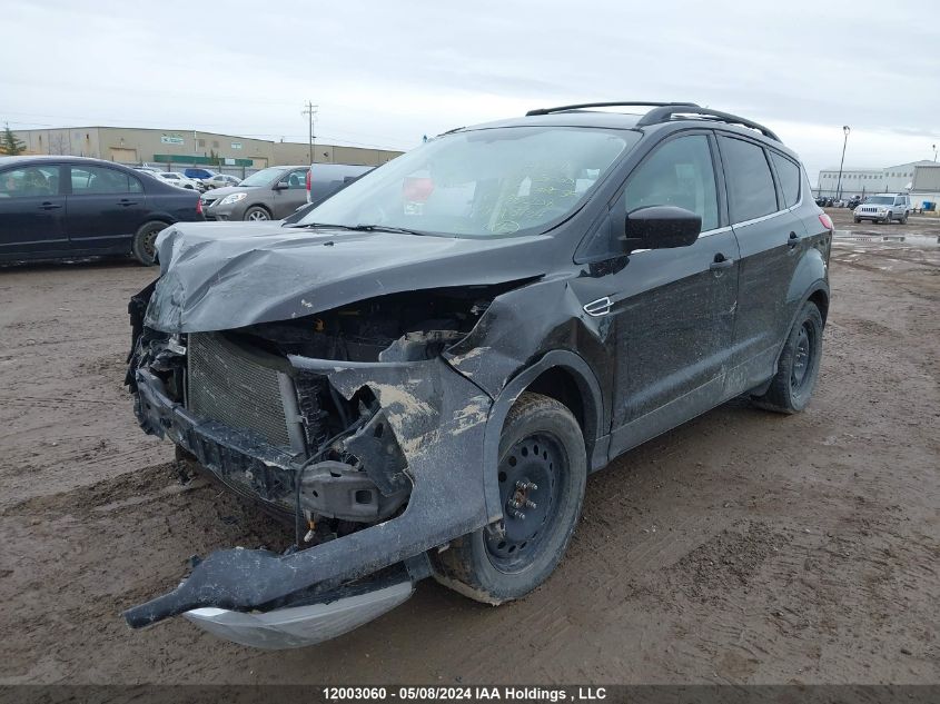 2013 Ford Escape Se VIN: 1FMCU9GXXDUA82208 Lot: 12003060