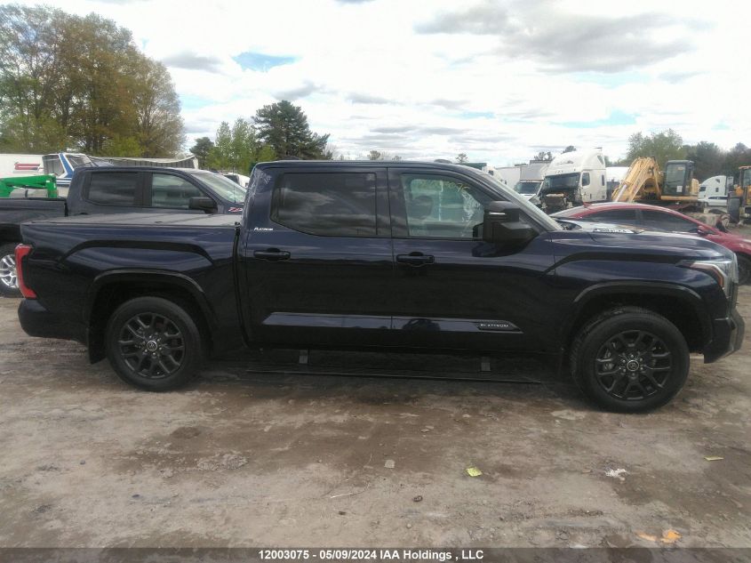 2023 Toyota Tundra Hybrid Platinum VIN: 5TFNC5DBXPX030808 Lot: 12003075