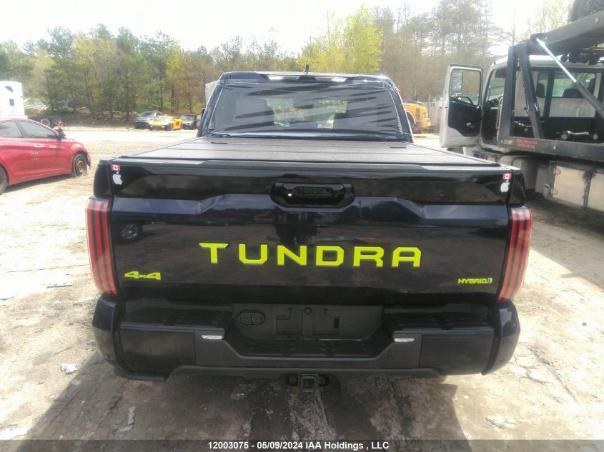 2023 Toyota Tundra Hybrid Platinum VIN: 5TFNC5DBXPX030808 Lot: 12003075