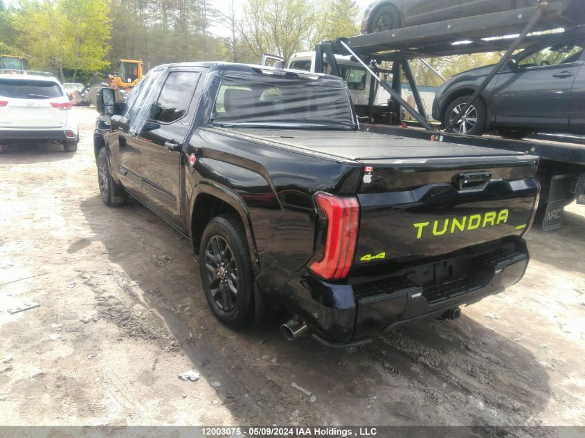 2023 Toyota Tundra Hybrid Platinum VIN: 5TFNC5DBXPX030808 Lot: 12003075